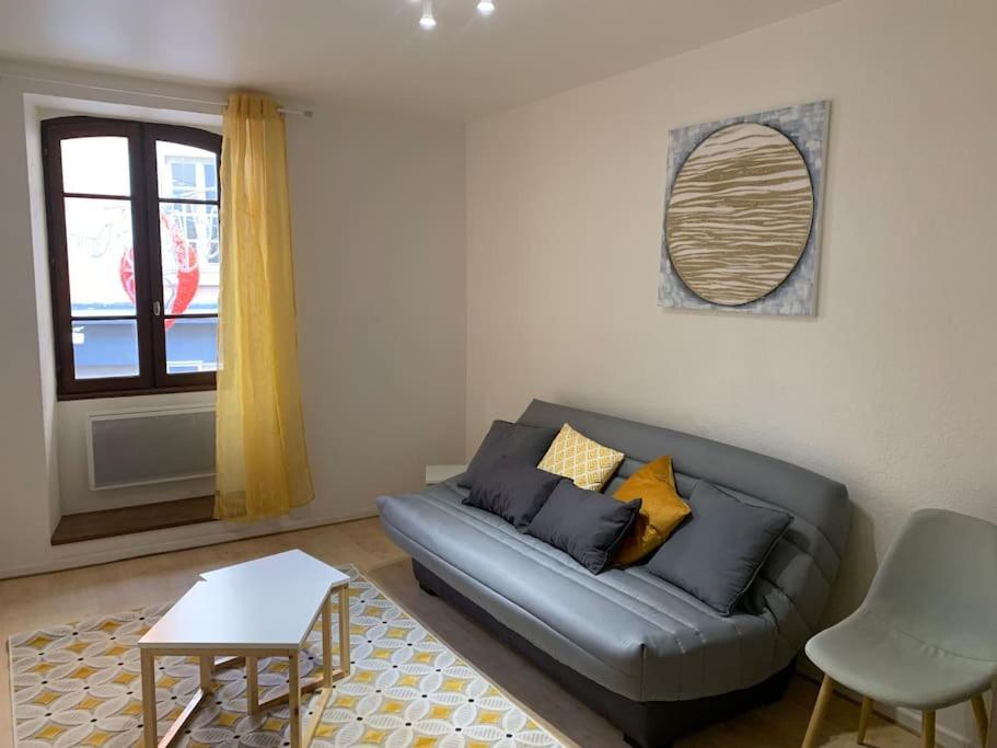Aubenas : Beau Studio, Proche Du Chateau Bagian luar foto